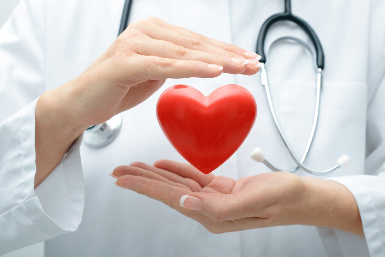 A doctor is holding a red heart in her hands