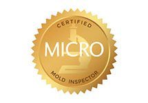 Certified Micro Mold Inspector