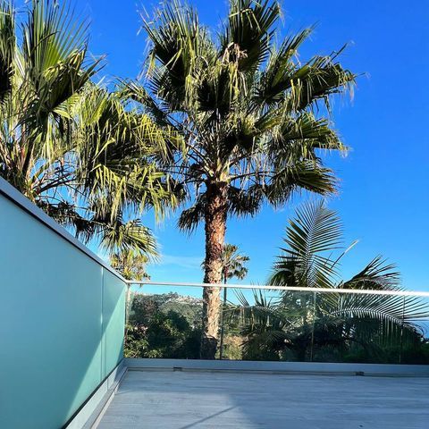 Balcony with palm trees, blue sky. Modern glass railing, view of trees and ocean in the distance. Sunny day.