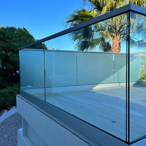Glass railing on a deck with a palm tree in the background under a blue sky.
