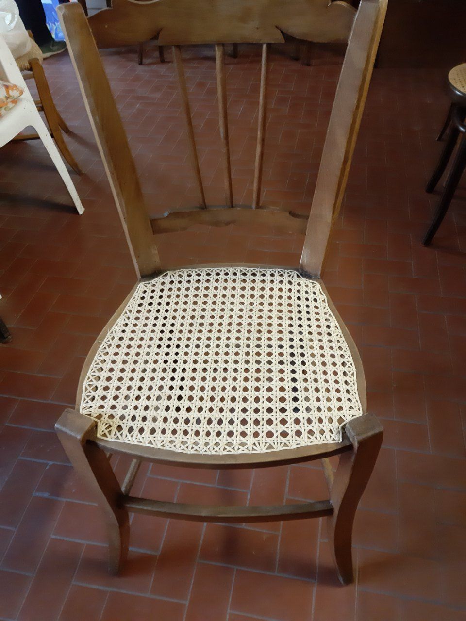 sedia modello Thonet