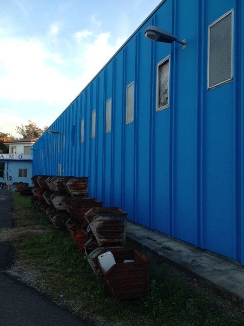 Tinteggiatura capannoni con autoscala