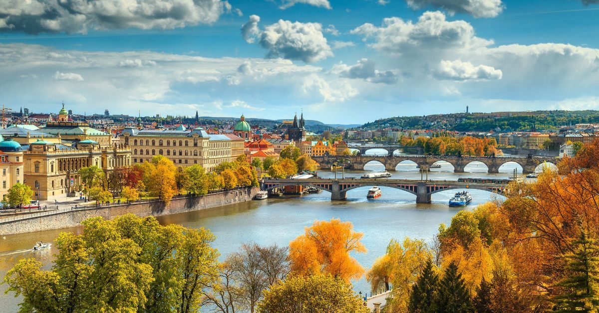 德式花藝作品，運用植物原貌與嚴謹比例，結合自然與設計，展現歐洲花藝的結構感與美學哲學