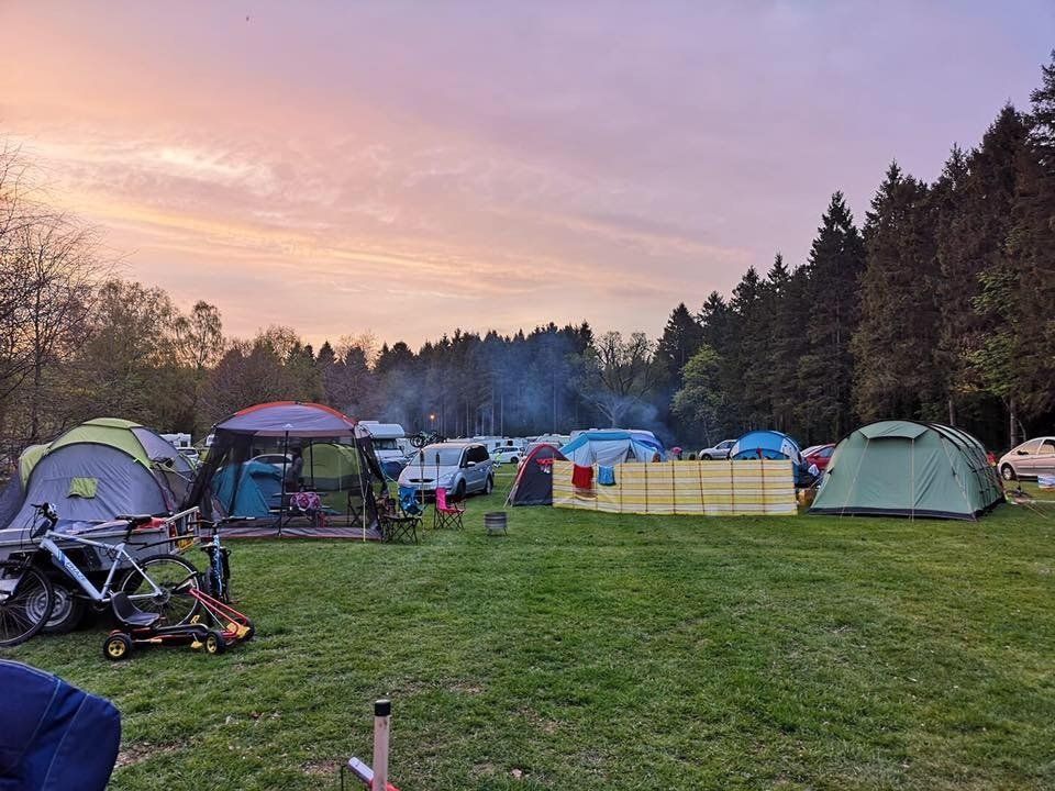 Gosford Forest Park 2019