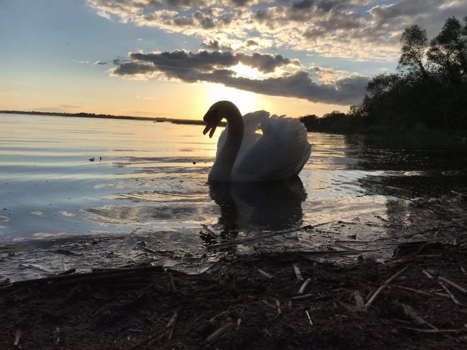 Lough Ennell CampingNI