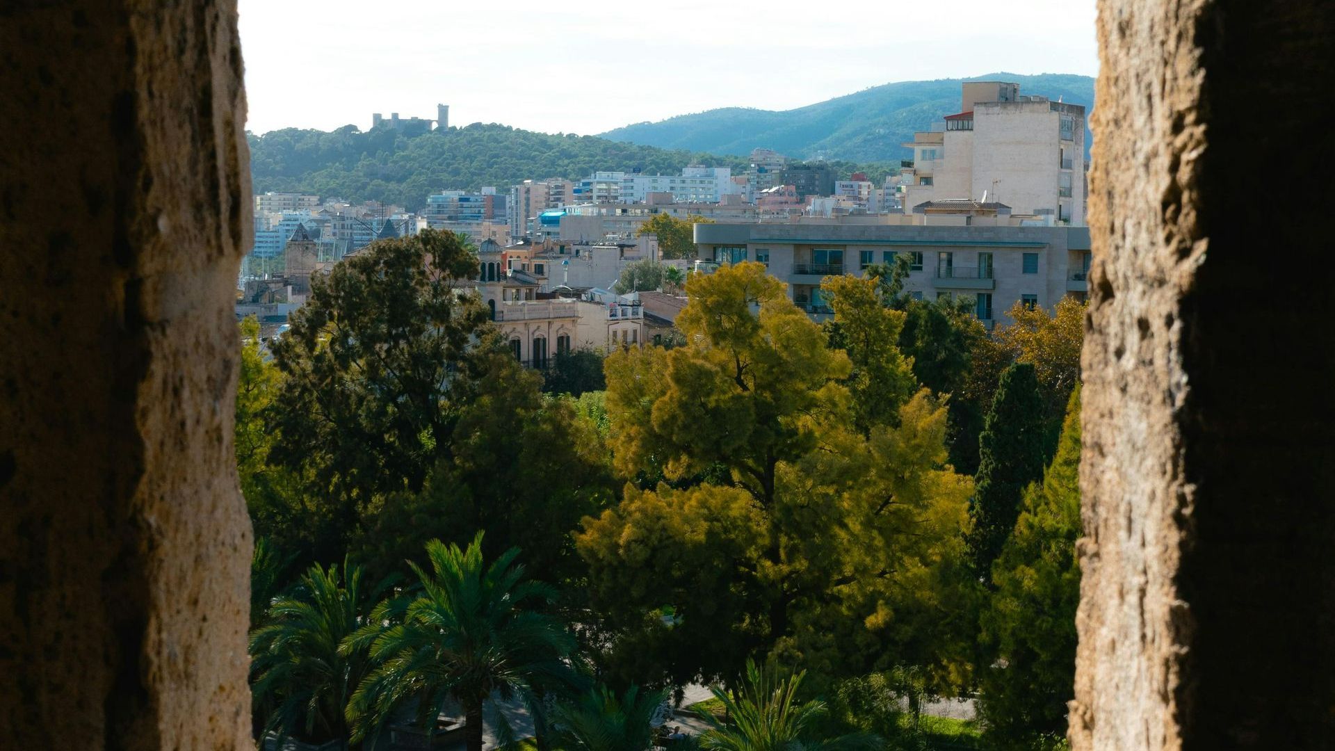 Una vista de una ciudad a través de una ventana con árboles en primer plano.