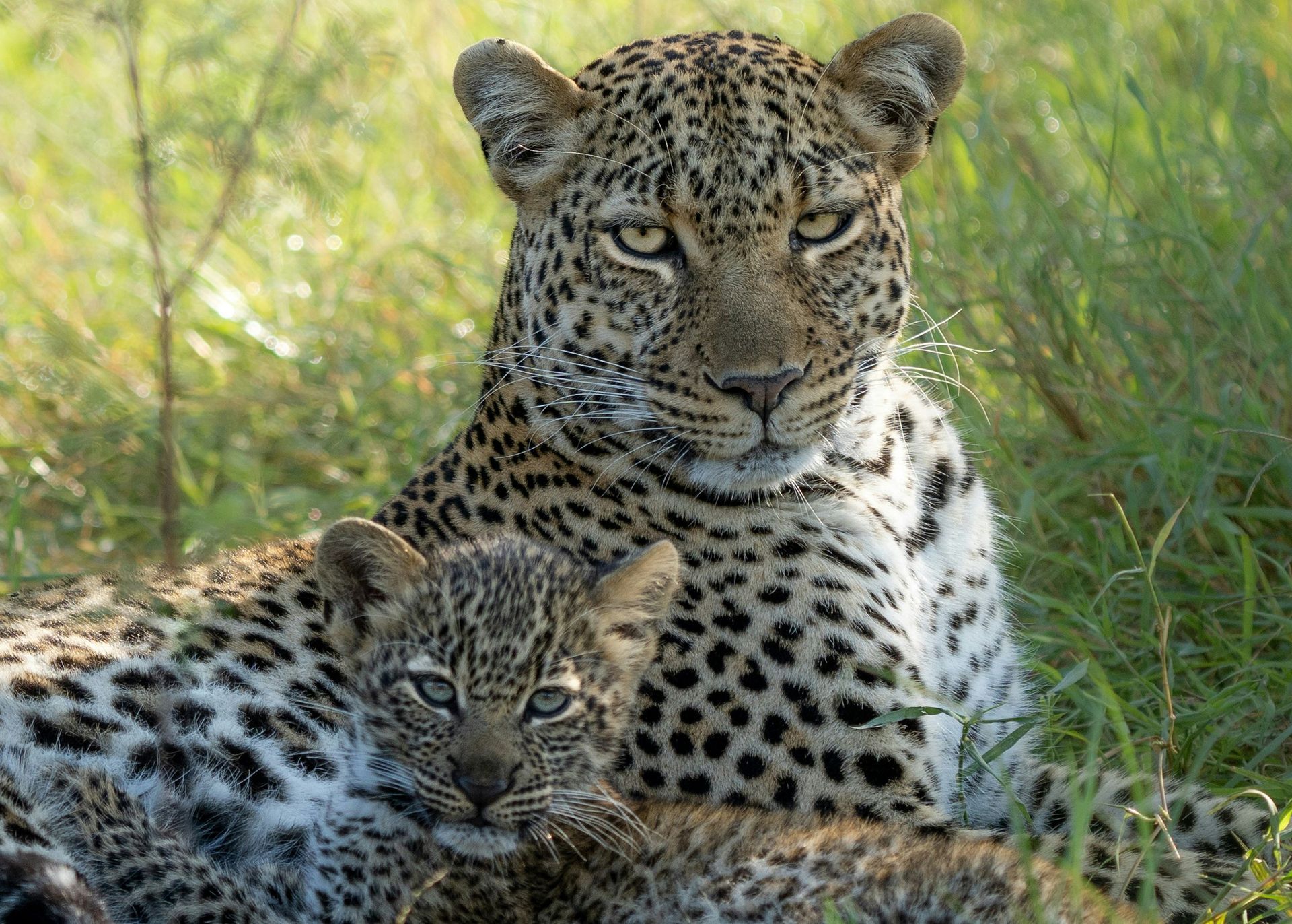 Khanya Conservation Camp sign on a tan building. Covered porch with lounge chairs visible.