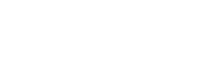 Blank white rectangle with a thin black border along the top edge and a thin colored strip near the bottom