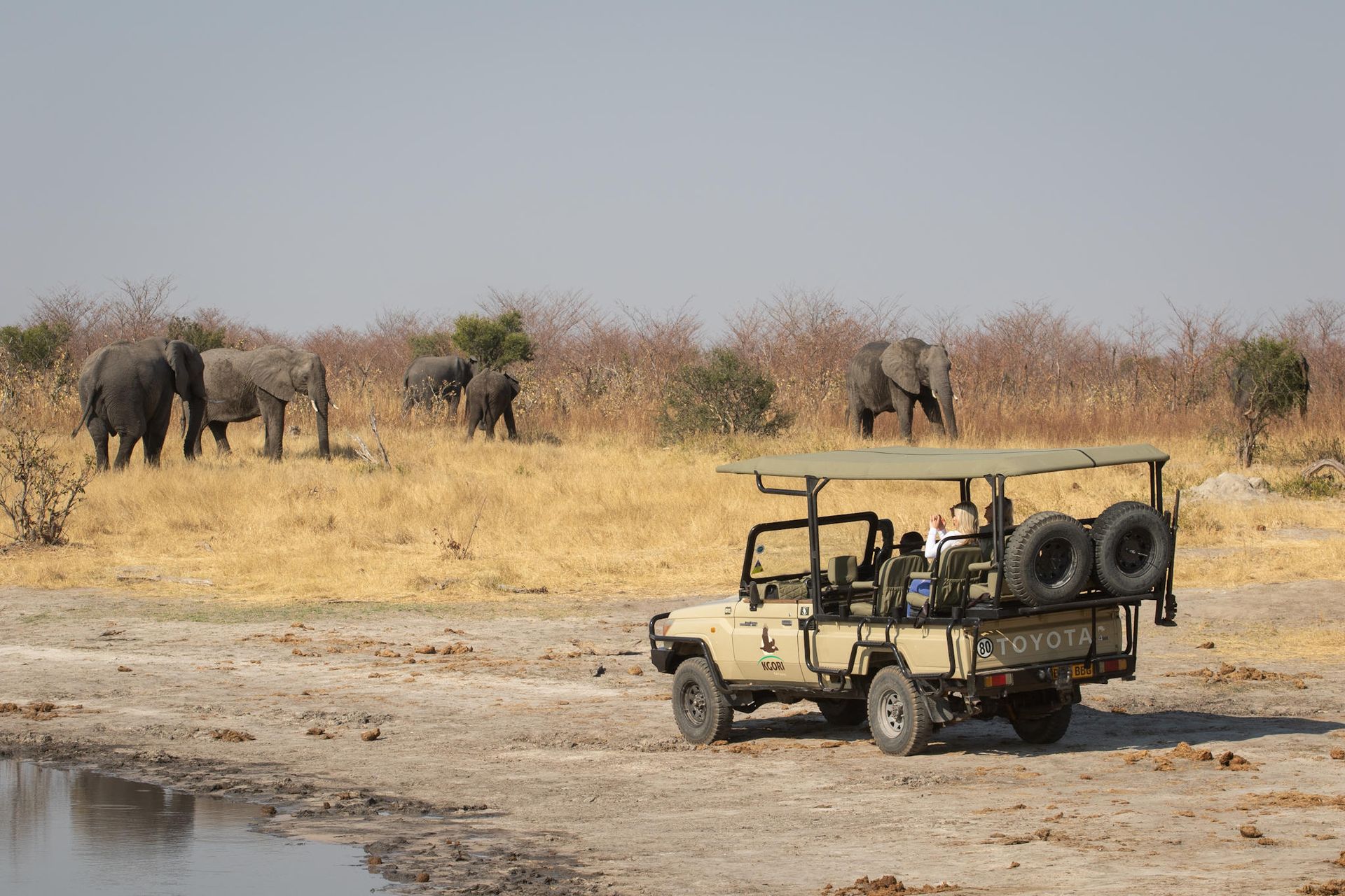 Safari jeep parked near watering hole with elephants in background.