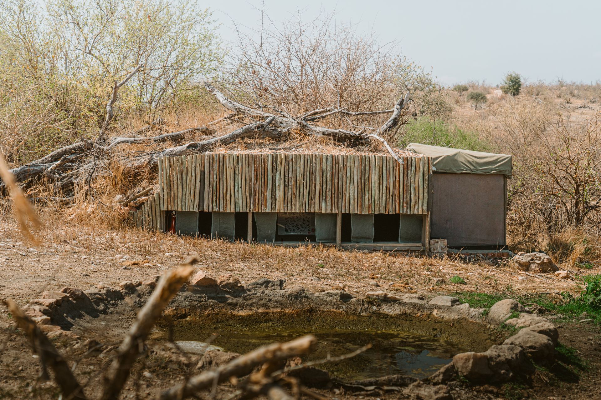 Aerial view of a winding river through a dense evergreen forest.