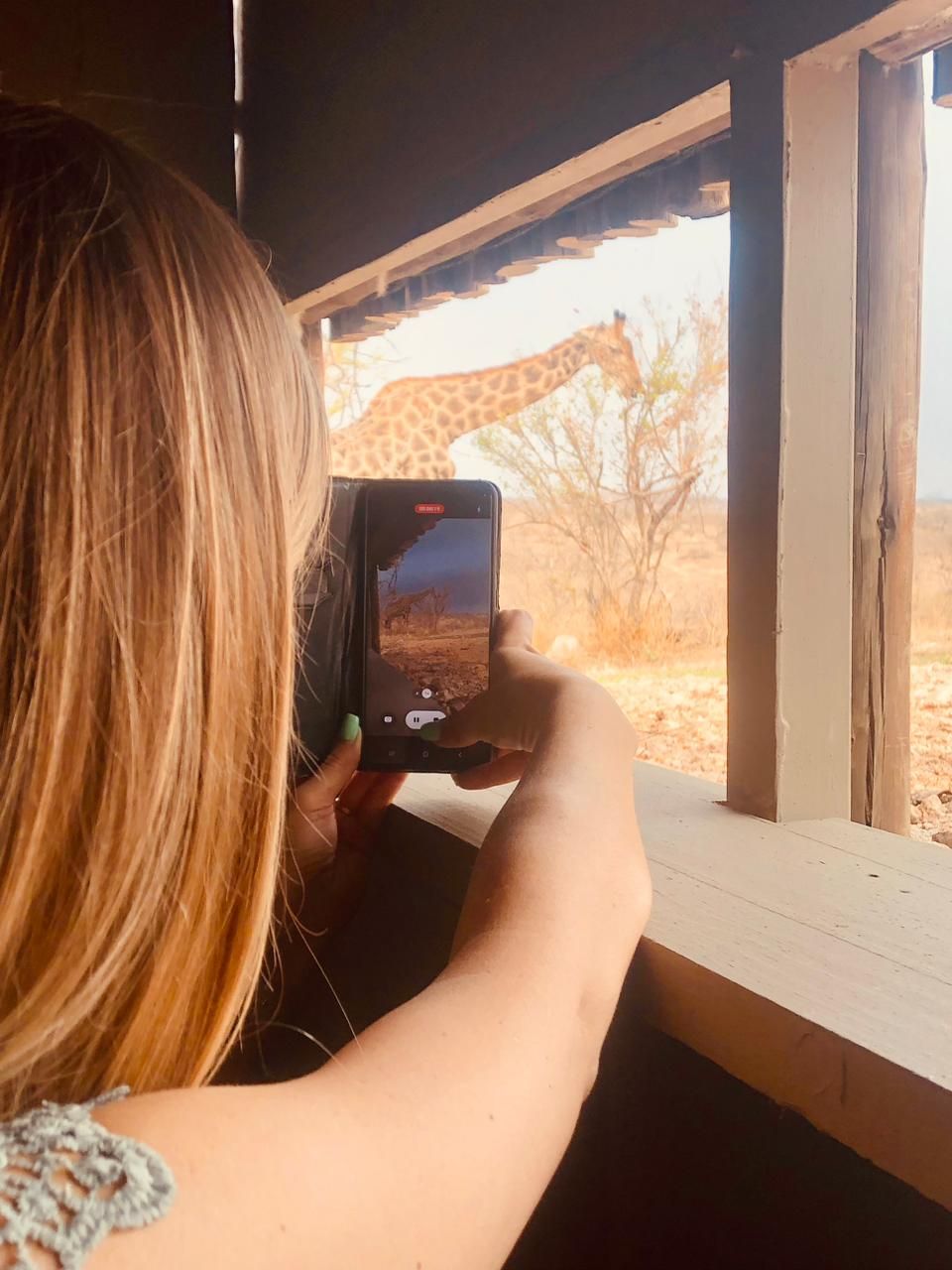 Person holding a phone at a window, photographing a bright desert landscape outside.