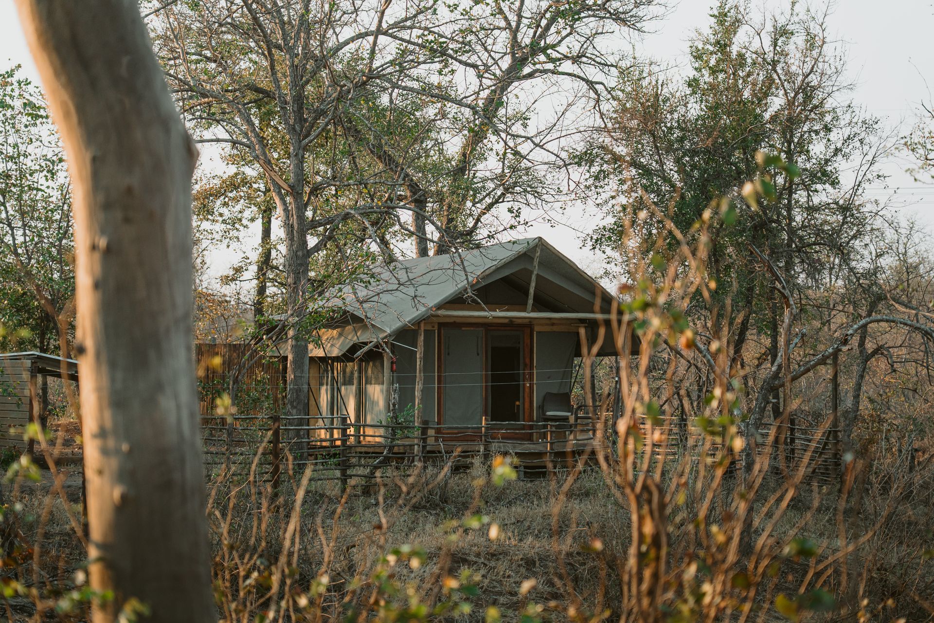 A cabin with a sloped roof nestled in a grassy, wooded area.
