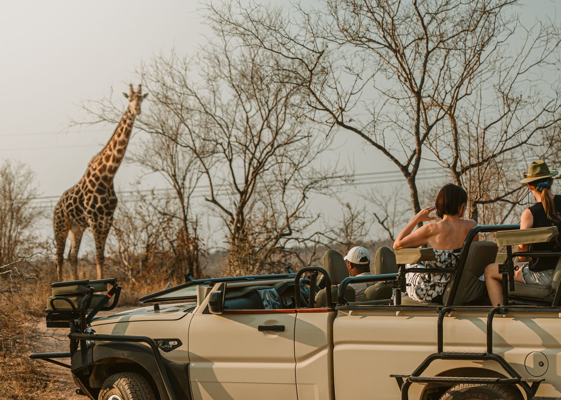 A giraffe stands near a safari vehicle carrying passengers through a dry, wooded landscape.