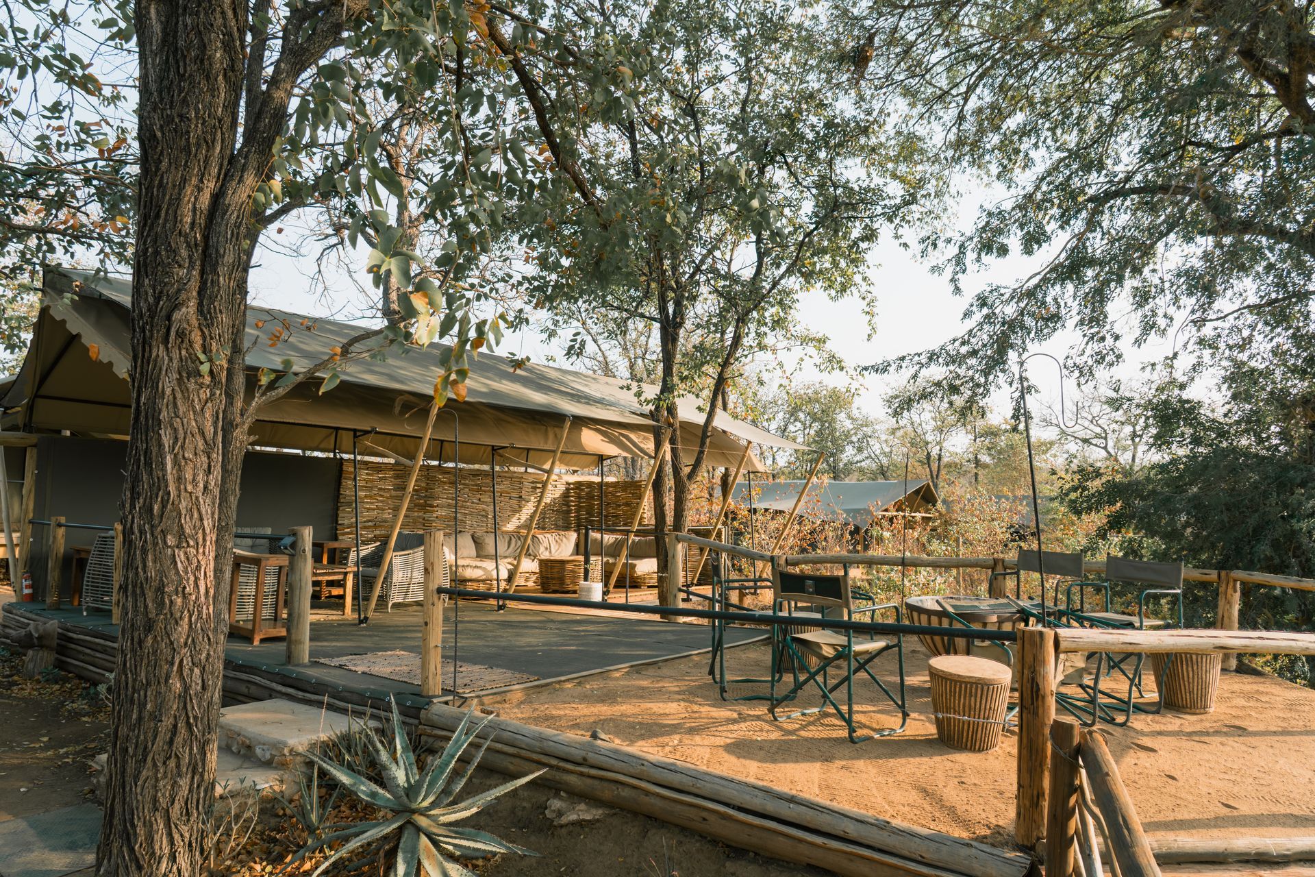 A safari camp with a thatched roof, wooden fence, and seating, set among trees.
