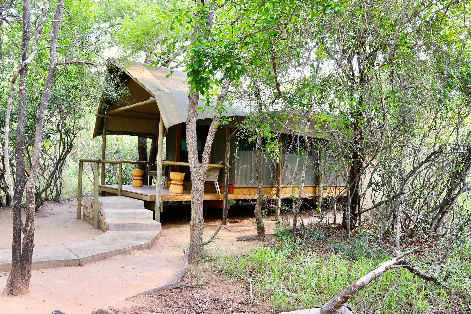 Safari lodge nestled in trees, with a covered porch and walkway.