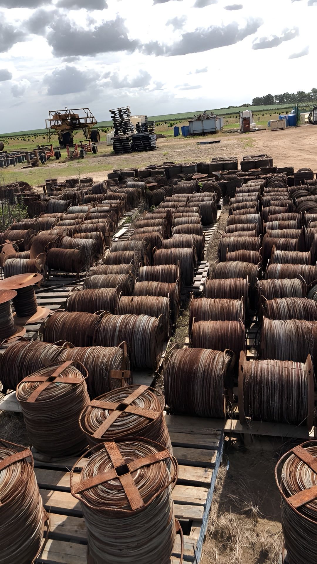 Rows Of Rusty Razor Wire Coils On Wooden Pallets In An Outdoor Storage Yard — H&H Metal Recycling in Moffat Beach, QLD
