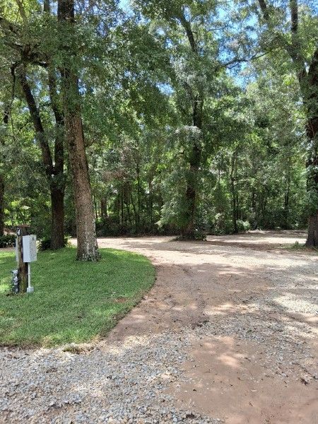 Tree-lined dirt path curving through a wooded park, with grass and a utility box on the left.