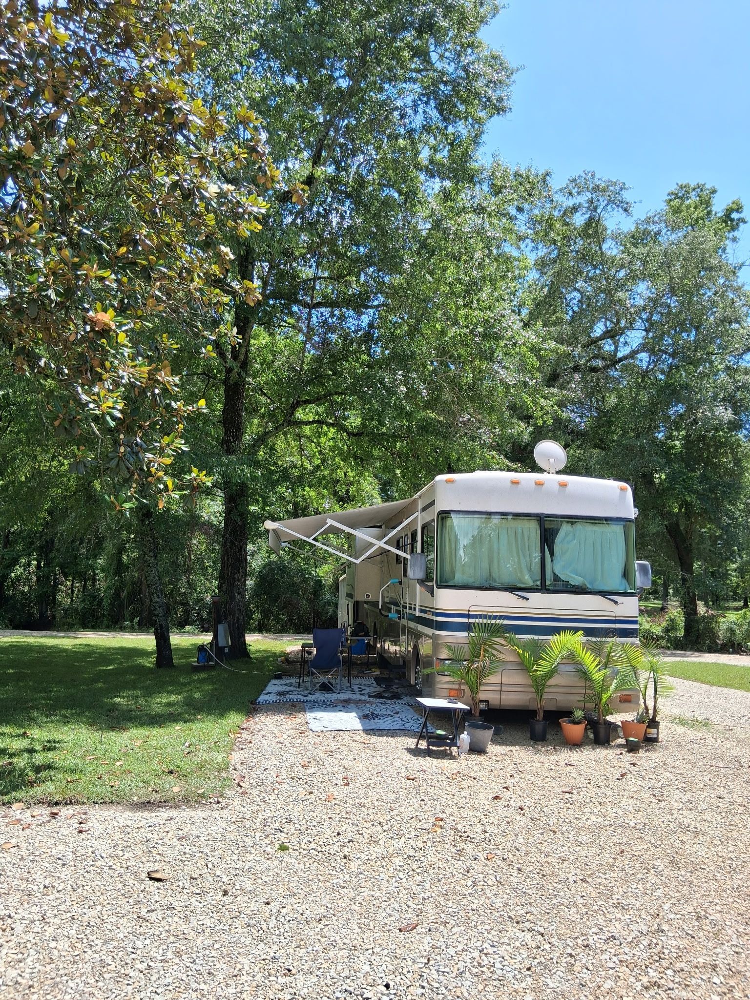 RV parked on a gravel driveway beside a grassy yard and tall trees on a sunny day