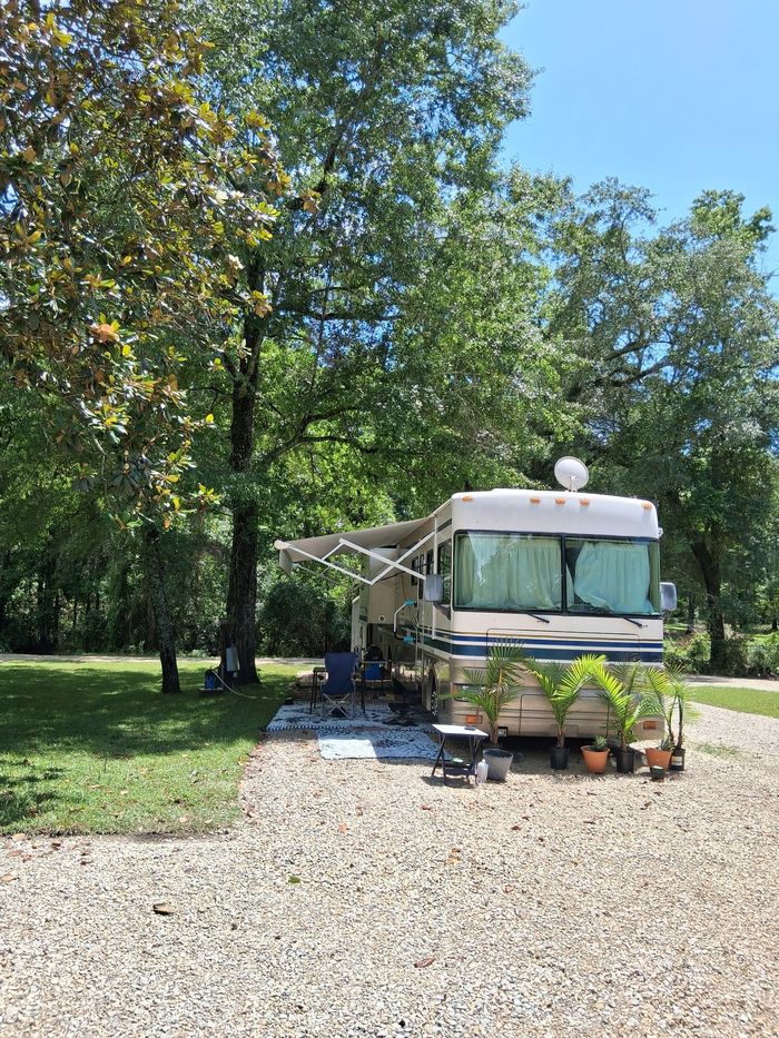 RV parked on a gravel driveway beside a grassy yard and tall trees on a sunny day
