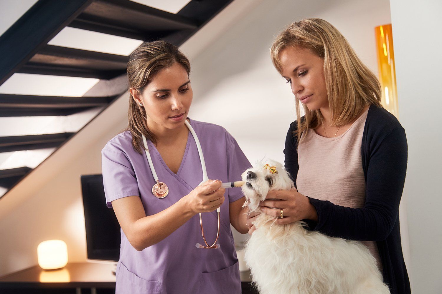 Caninos y Felinos Centro Veterinario - terapias bioreguladoras