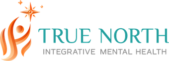 true north imh logo