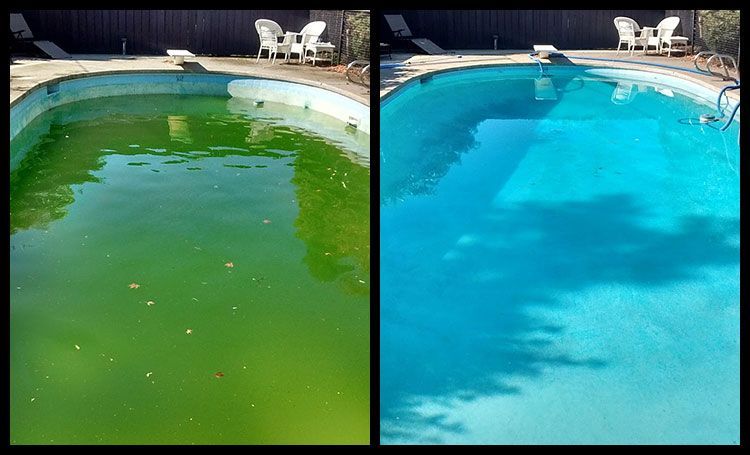 A before and after picture of a swimming pool that is green and blue.