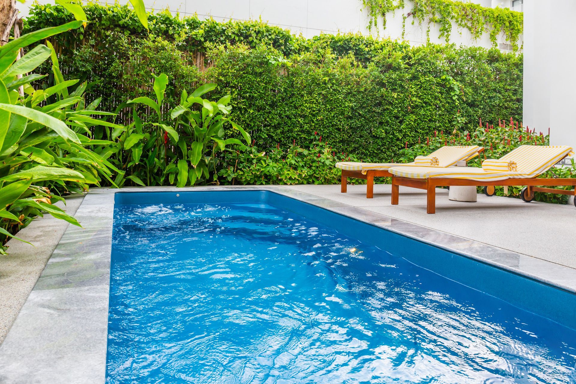 A large swimming pool surrounded by lawn chairs and plants.