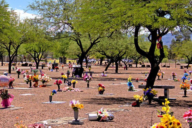 A sunny cemetery with many headstones decorated with colorful bouquets of flowers, shaded by several desert trees.