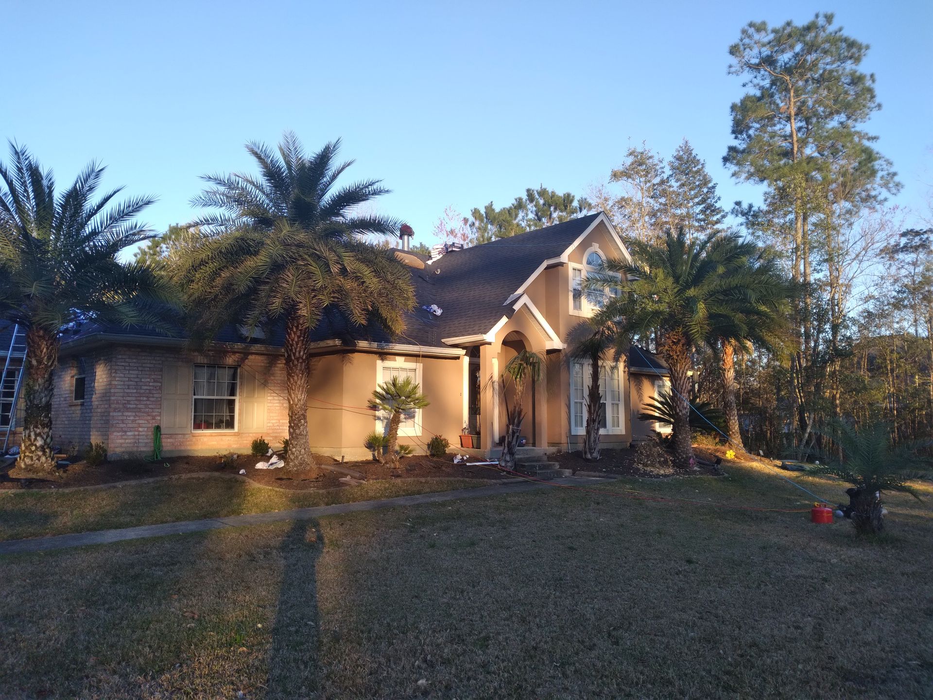 A house with palm trees in front of it