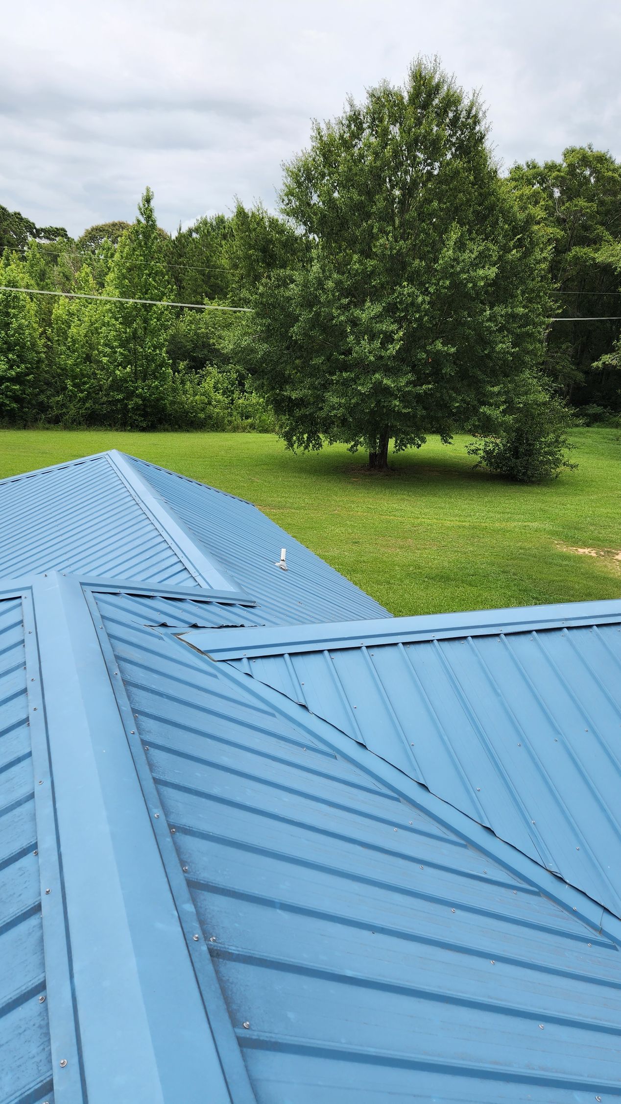 A blue roof with trees in the background is sitting on top of a lush green field.