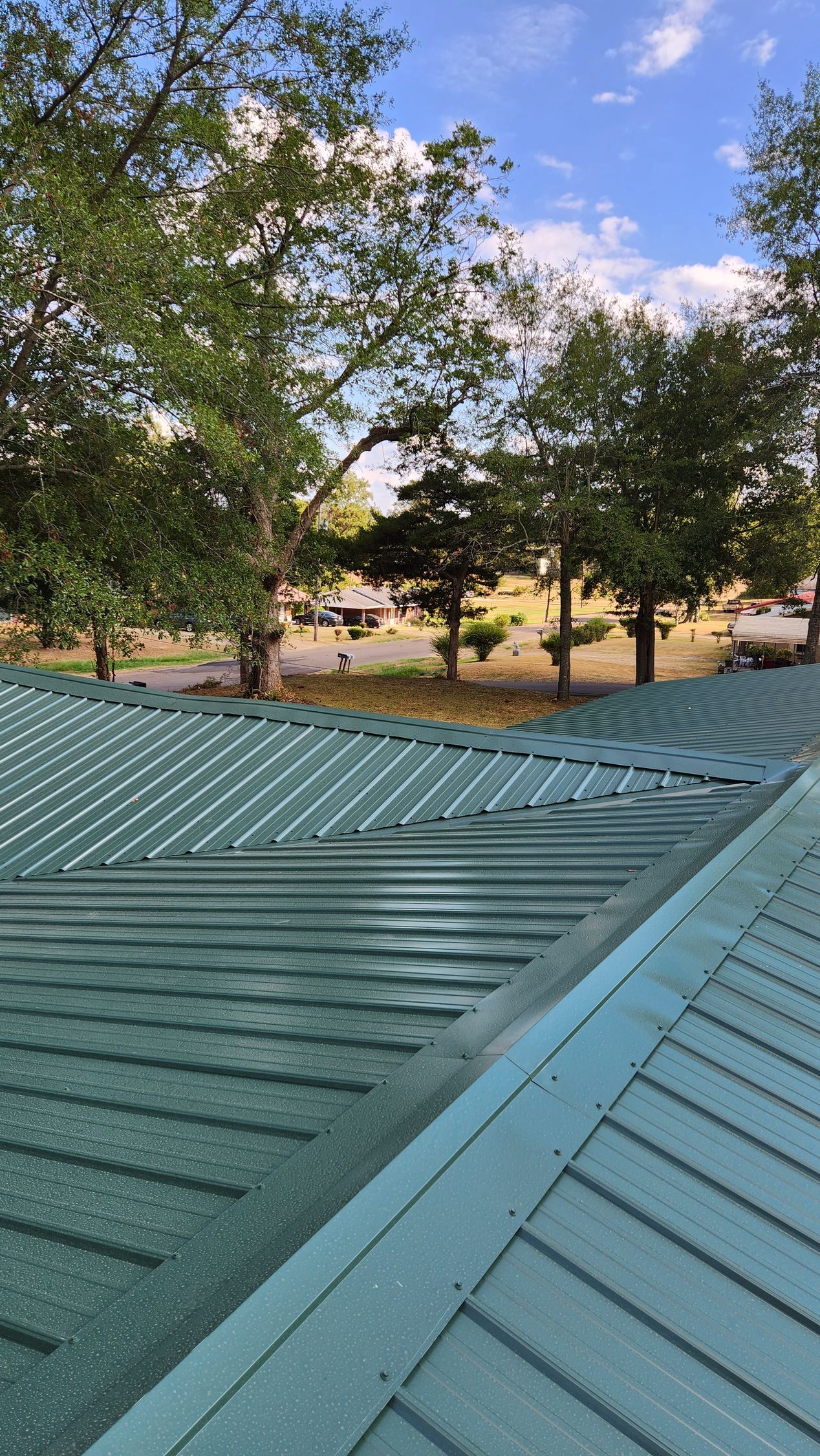 A green roof with trees in the background on a sunny day.