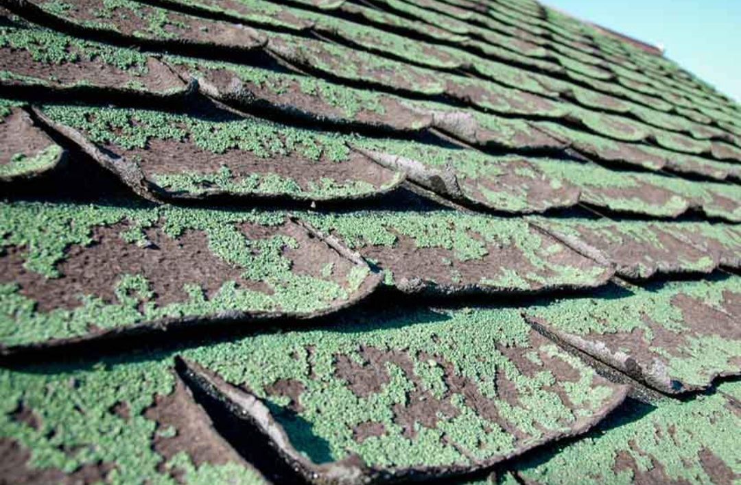 A close up of a roof with green and brown shingles.