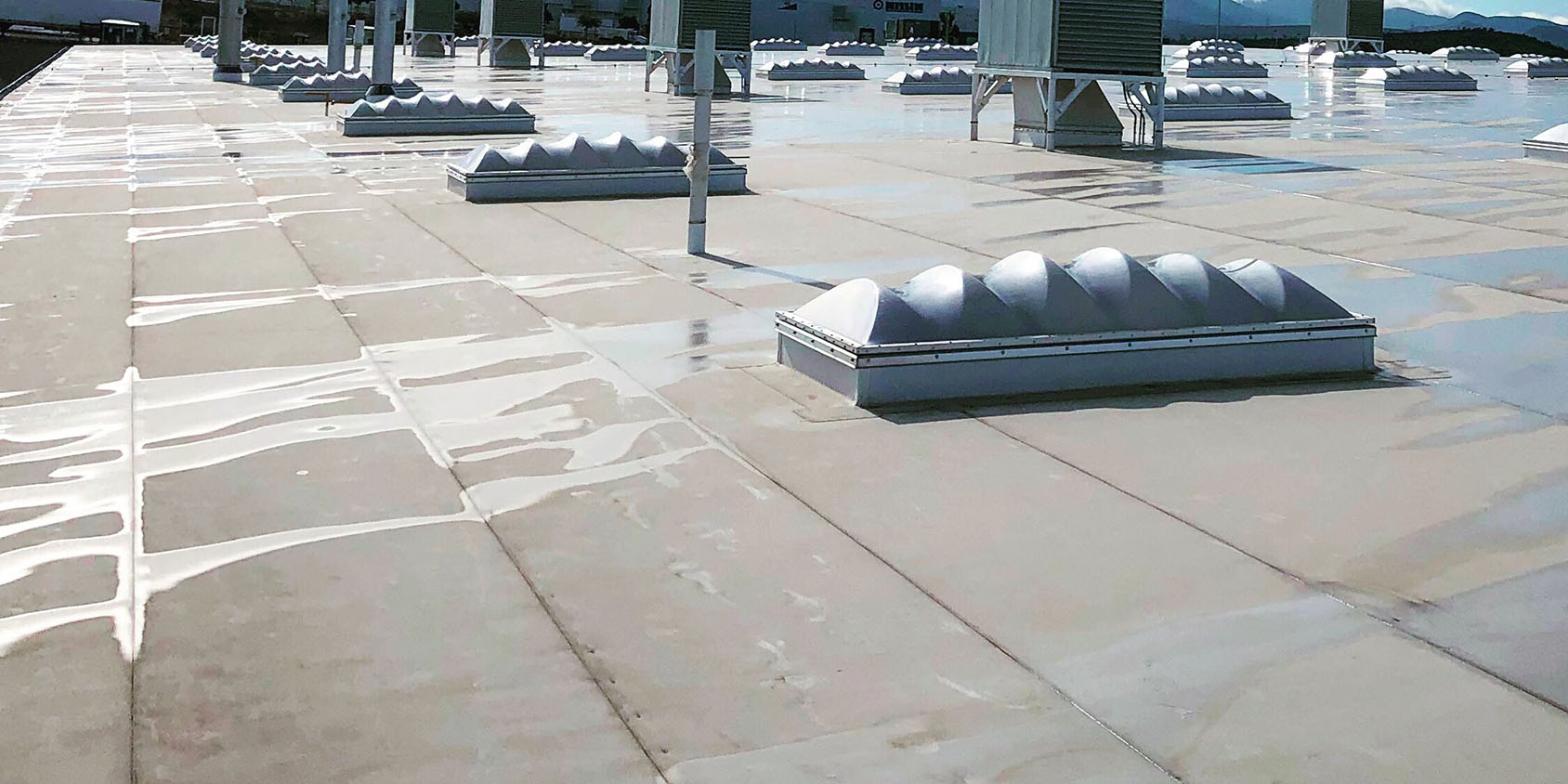 A roof with a lot of skylights on it