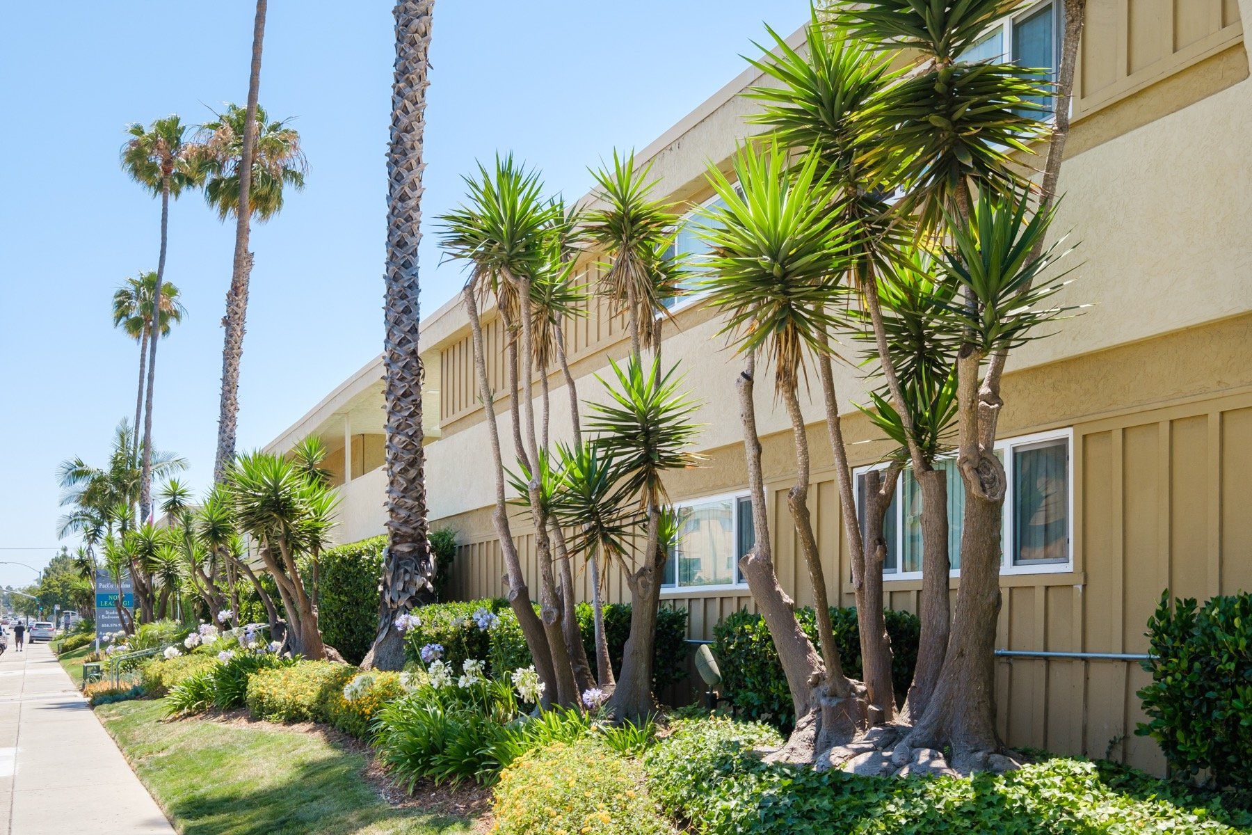 Clairemont, CA Apartments for Rent Vacancies in the San Diego Area.