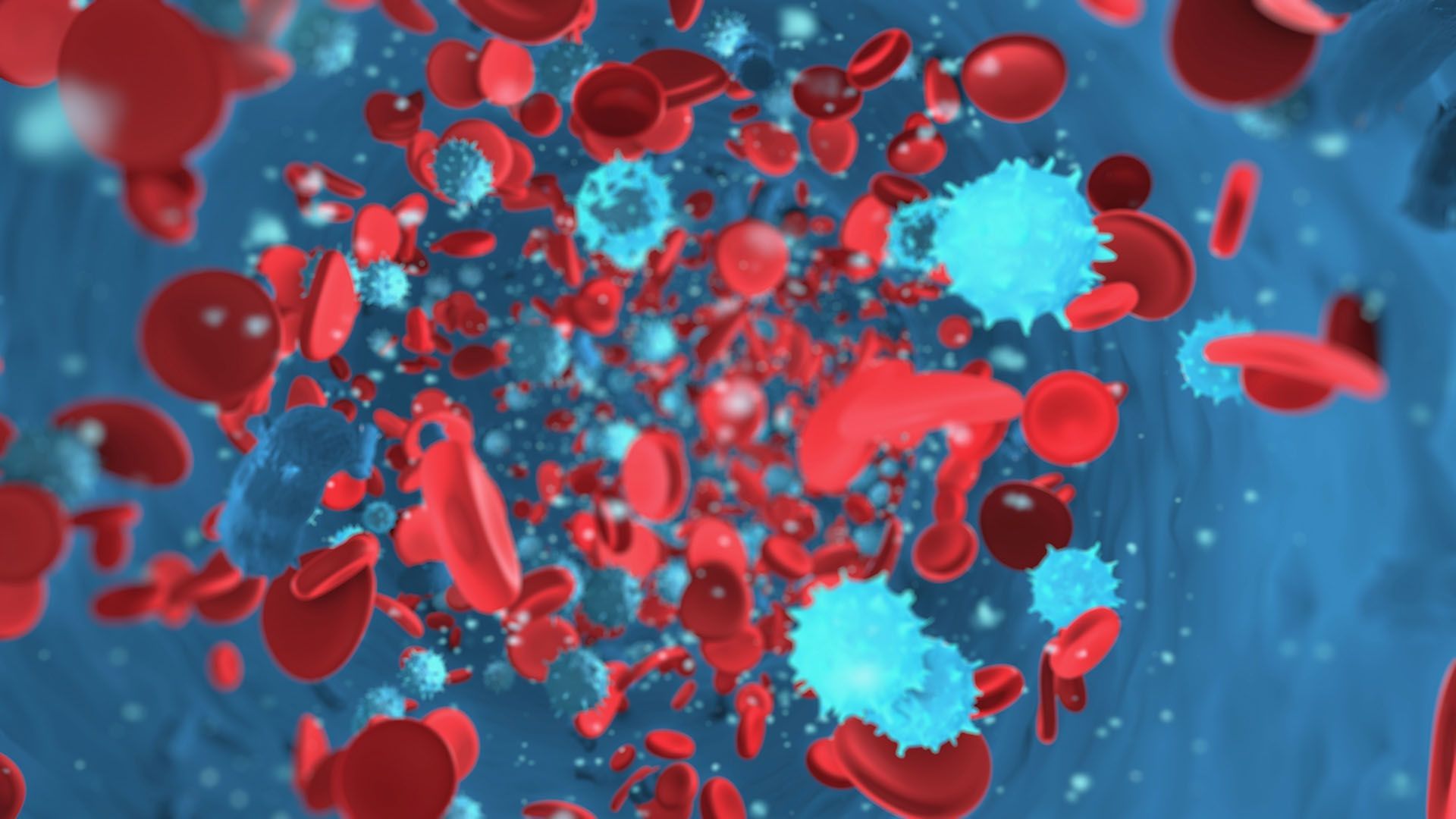 Microscopic view of blood cells and bloodborne pathogens