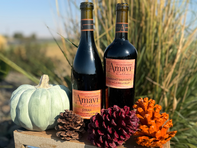 New fall release wines