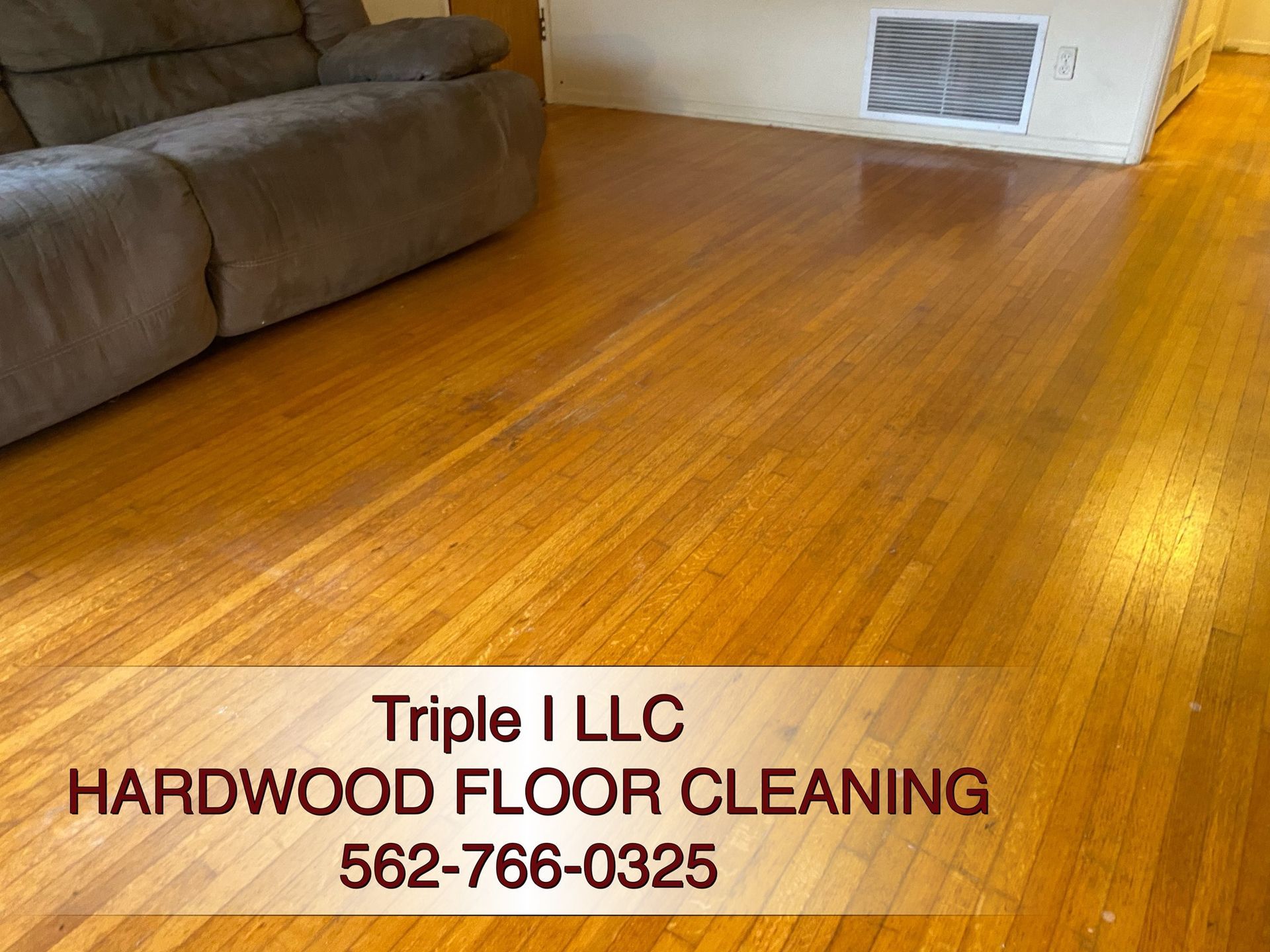 Triple I LLC | a living room with hardwood floors and a couch.