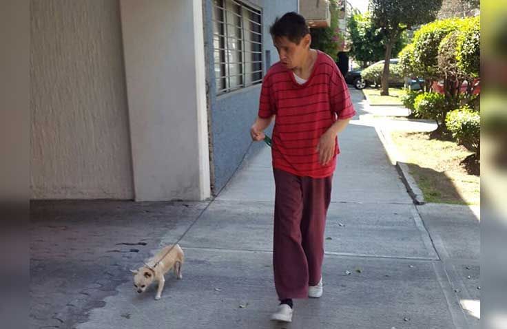Un hombre con una camisa roja pasea a un perro pequeño con una correa.