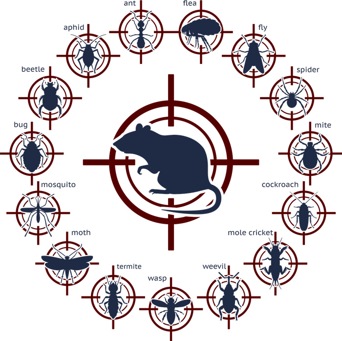Pest control graphic: A rat at the center with crosshairs, surrounded by insects also in crosshairs.