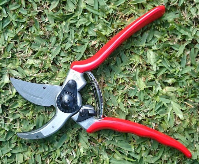 secateurs