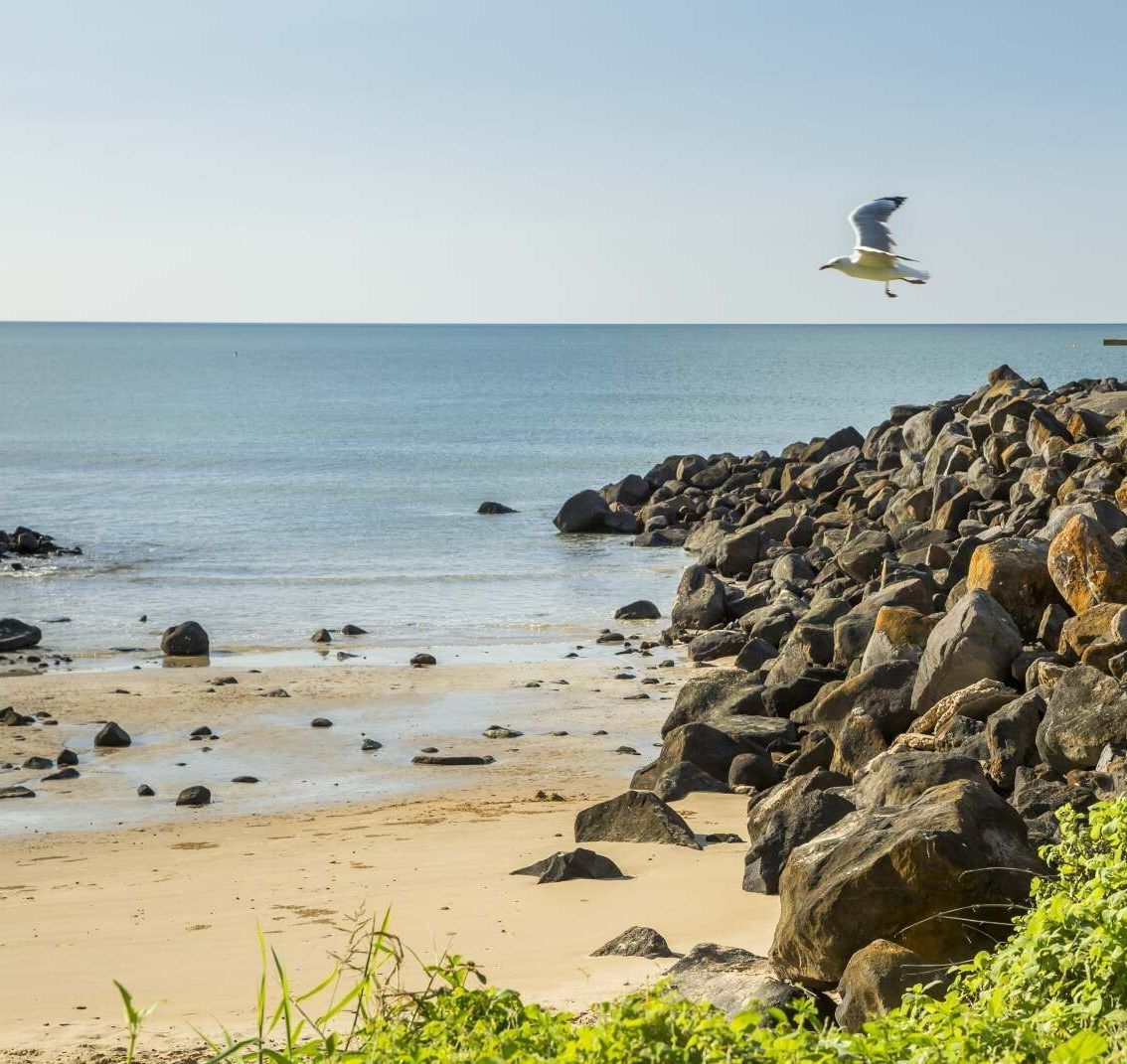 A Seagull Is Flying Over A Rocky Beach Near The Ocean — Coastal Blind Installations In Bundaberg, QLD