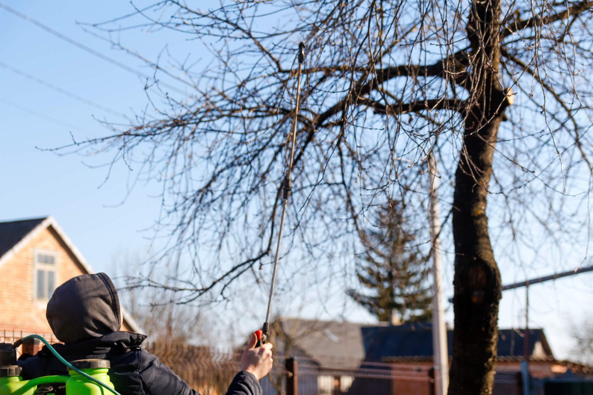 Man Spraying Tree with Pesticide Sprayer — Avondale, PA — Tree Huggerz Inc