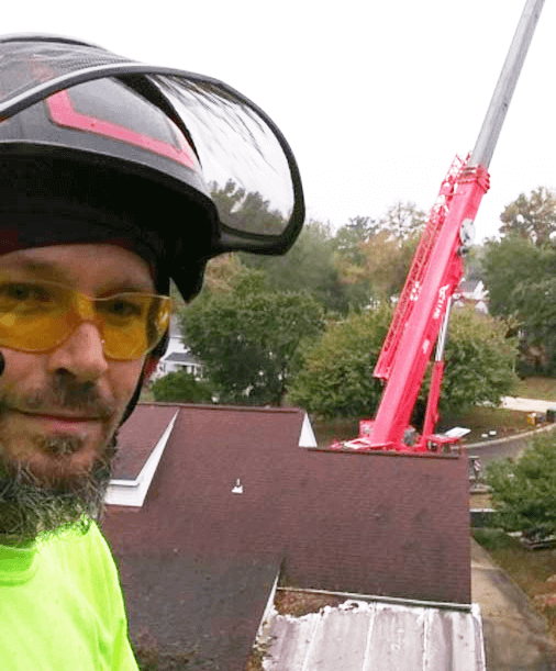 Tree Gallery Avondale, PA Tree Huggerz Inc