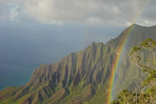 Hawaii hawaii