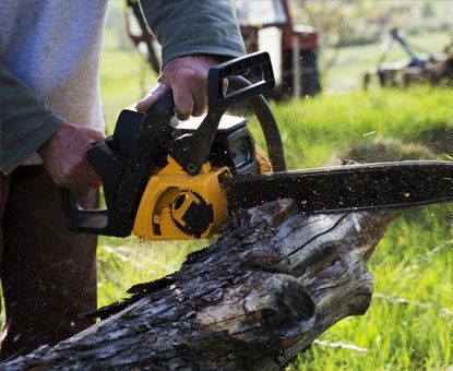 Man Cuts a Fallen Tree — Laramie, WY — Heggie Logging Co Inc
