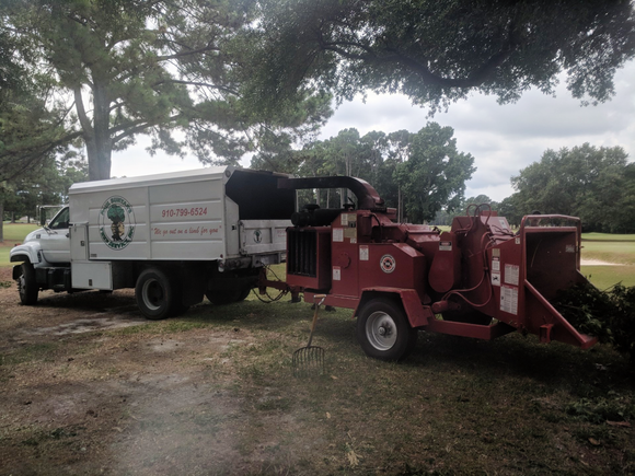 Cutting Tree on the Road — Wilmington, NC — Paul Bunyan’s Tree Service