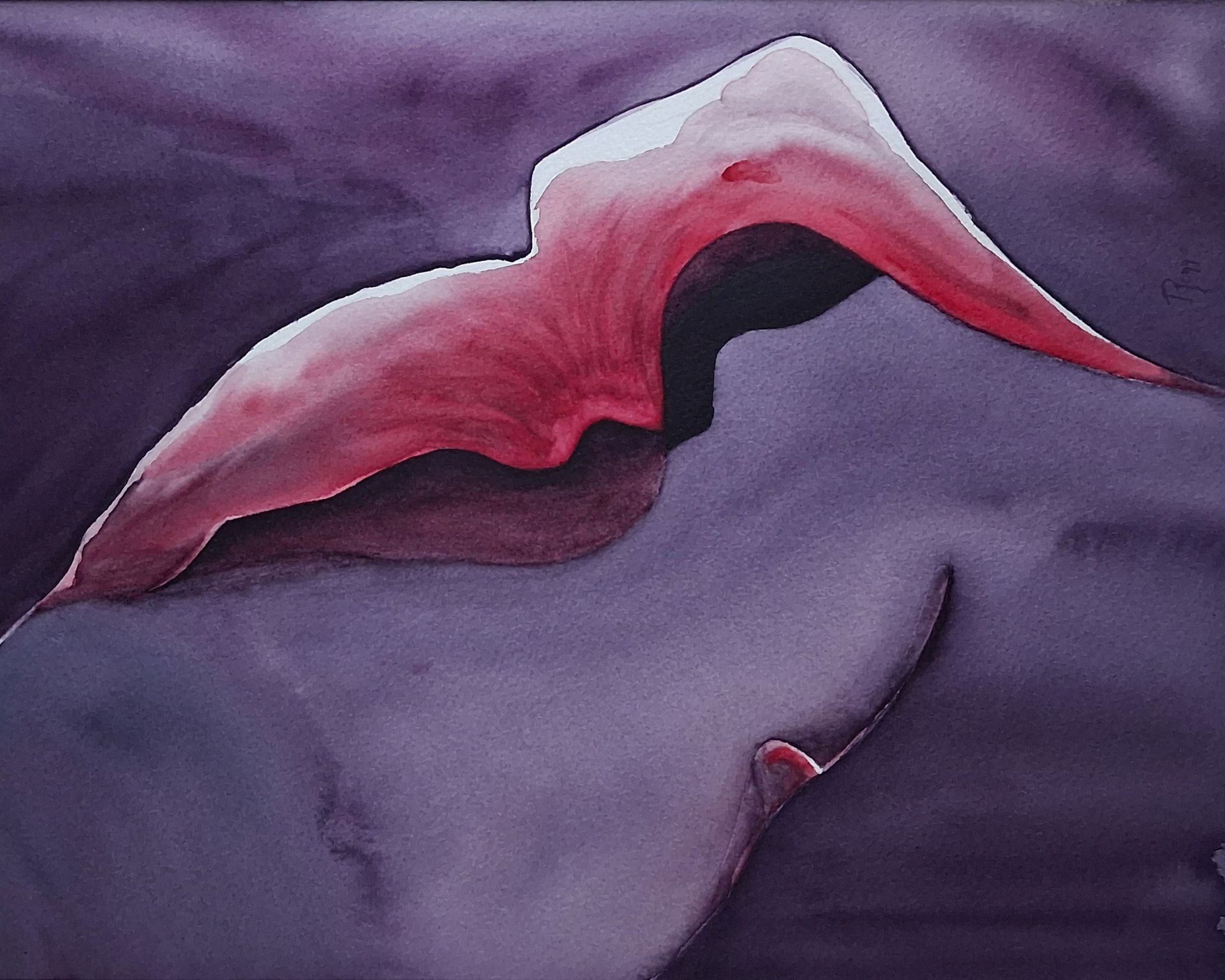 Sculptural Silence – Echo, een liggende oriëntatie omgekeerd van een eigentijdse aquarel met rode bloemvorm en donkere achtergrond.