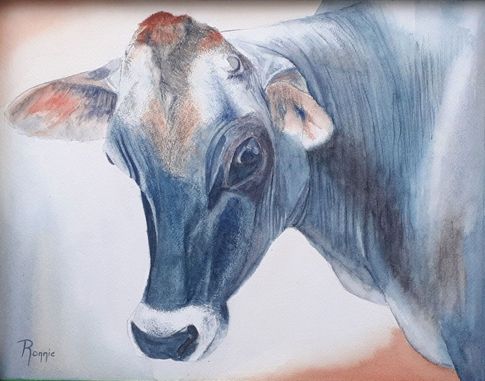  aquarel van koe in blauw en oranje