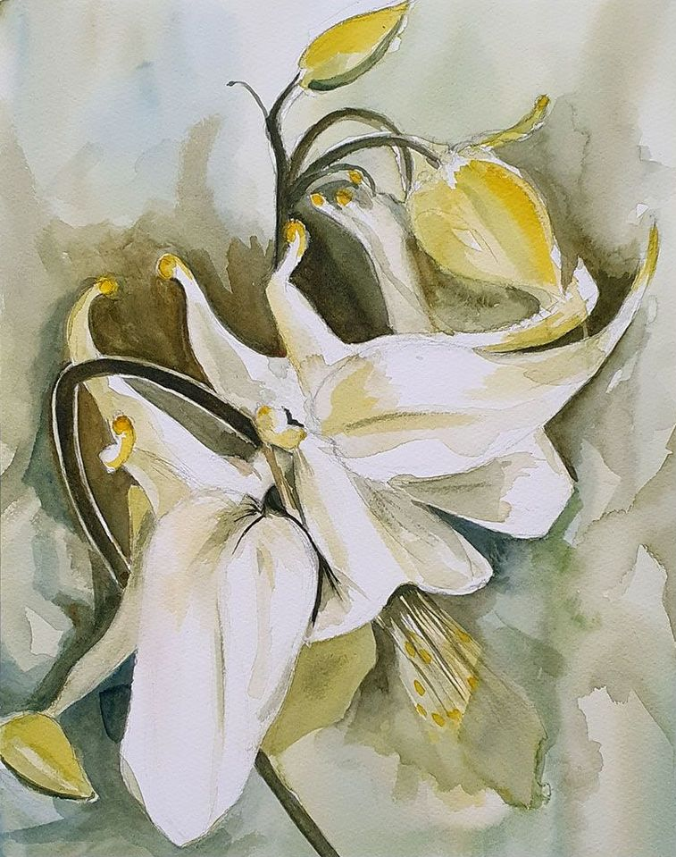 Aquarel: Akelei