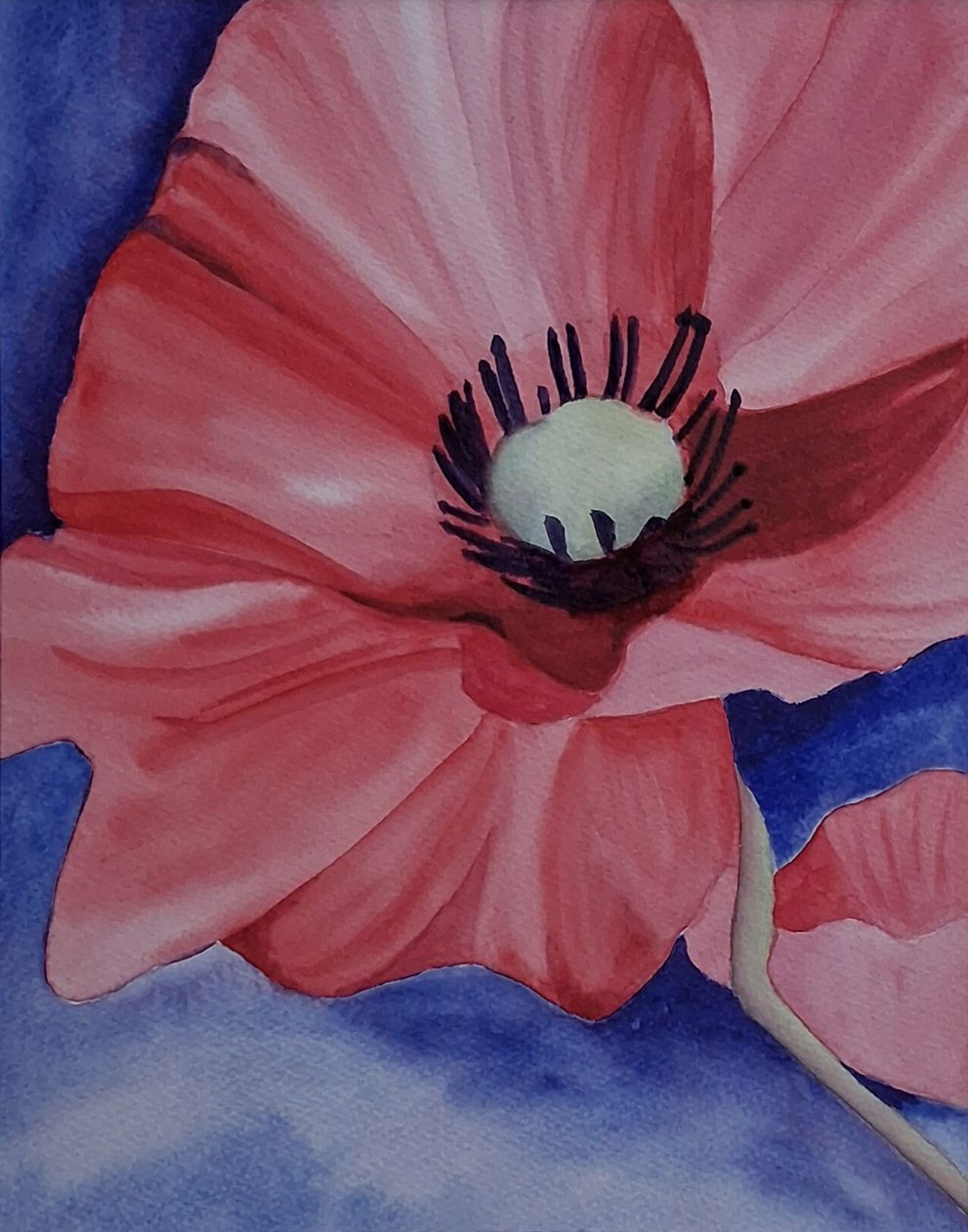 Aquarel van een viooltje